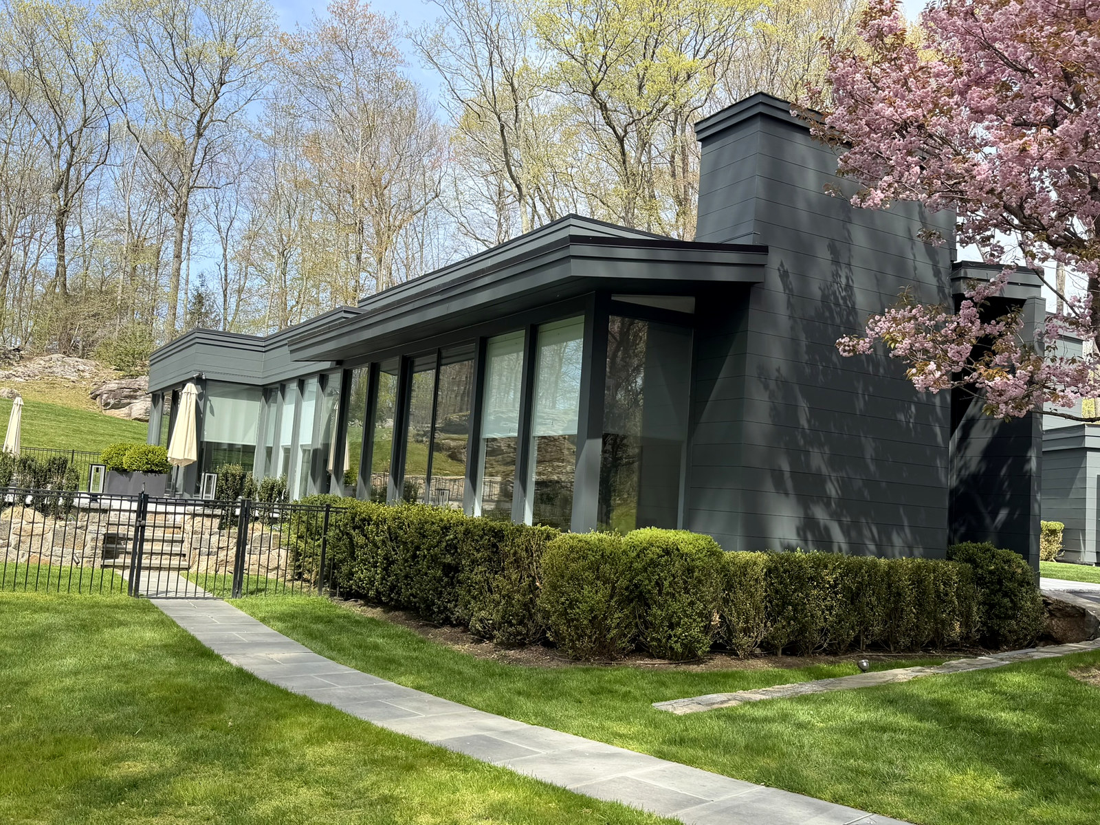 Modern dark gray contemporary home with cherry blossoms